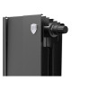 Радиатор Royal Thermo PianoForte 300 /Noir Sable - 16 секц. VDR