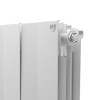 Радиатор Royal Thermo PianoForte 300 /Bianco Traffico - 14 секц.